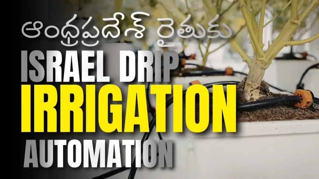 Israel Netafim drip automation model. పొలంలో Automated Drip Irrigation System ఎలా వేయాలి - పూర్తి Telugu Step By Step Guide for the First Time.