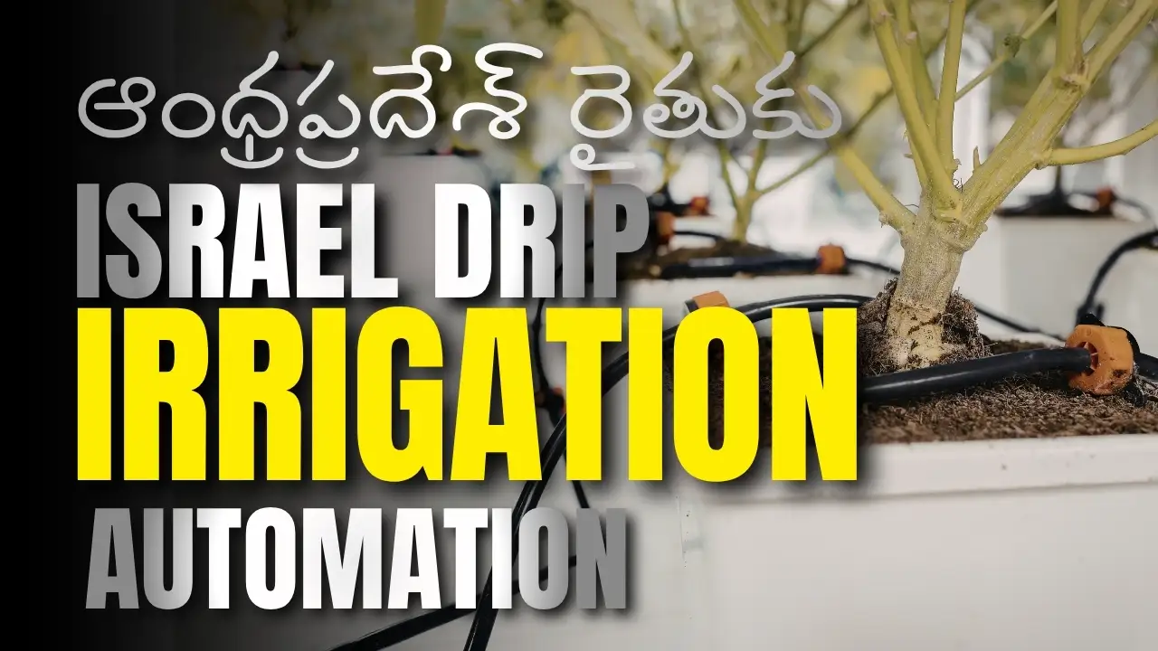 Israel Netafim drip automation model. పొలంలో Automated Drip Irrigation System ఎలా వేయాలి - పూర్తి Telugu Step By Step Guide for the First Time.