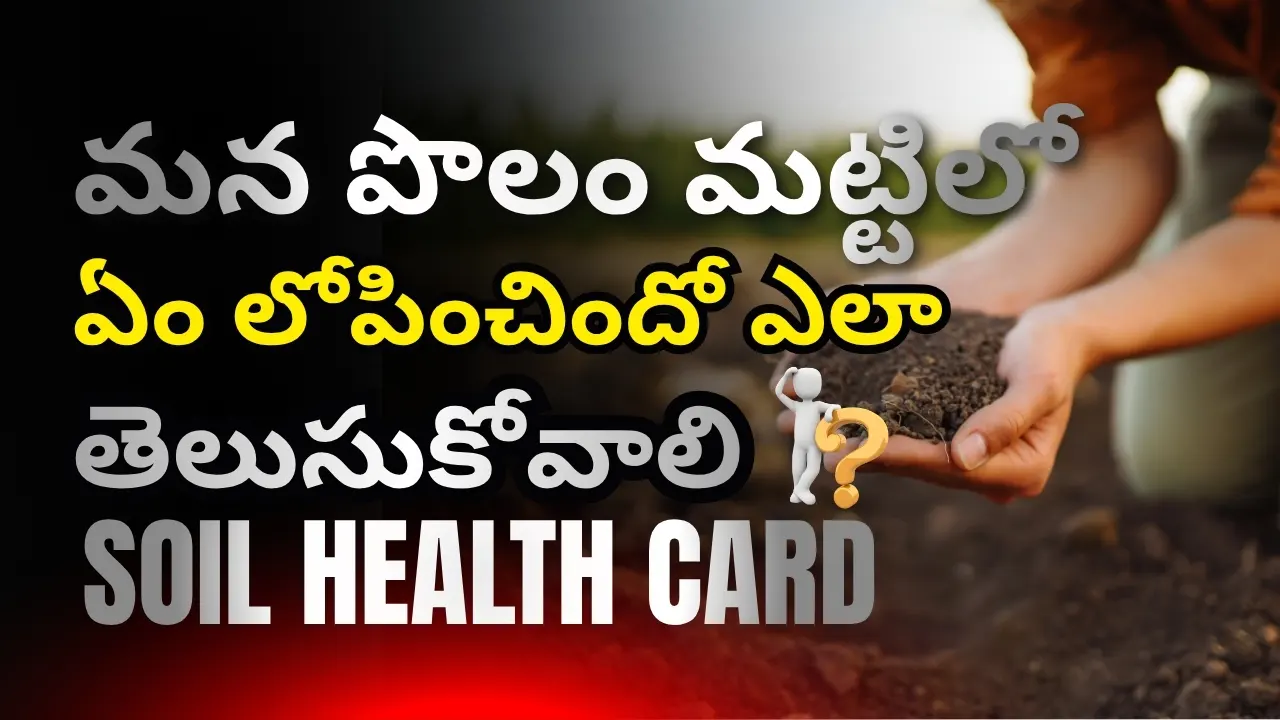 Soil Health Card, Digital Soil Mapping guide in telugu for Andhra Pradesh farmers.